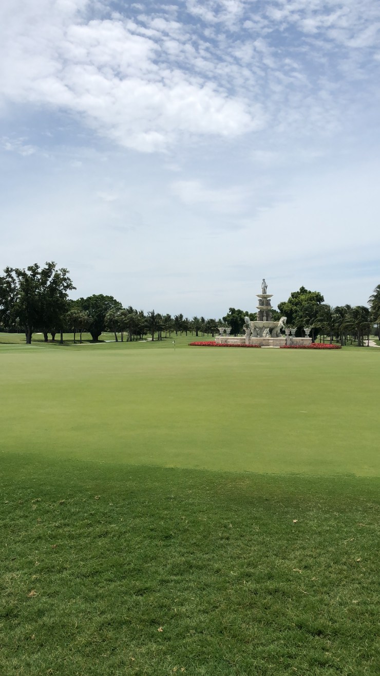 98BCBF2B-9FE2-401C-A974-A5D93B5C4B5F